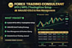 be your forex trading consultant