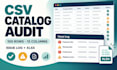 audit your product catalog CSV
