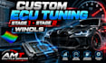 custom tune your ecu stage 1 stage 2 professionally in winols