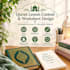 create engaging quran and islamic lesson content