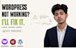 fix wordpress bugs errors and website problems