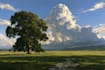 paint oil painting landscape