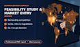 conduct a feasibility study and market entry analysis for your business