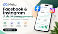 do meta ads, facebook , ig  marketing and optimization