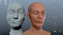 be 3d rigging or fix, face rigging lips sync, weight painting in blender maya