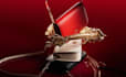 create a photorealistic 3d bag modelling, 3d product animation, 3d bag animation