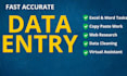 do professional data entry and copy paste tasks