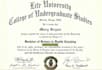 design diploma, transcript, high school, college, and degree certificates