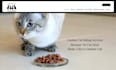design wix cat sitting services website pet sitter website kitten care website