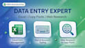 do data entry excel data cleanup and web research in 24 hour
