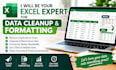 be your excel expert for data cleanup, formatting and organization