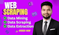do professional web scraping and data extraction