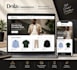 build a professional shopify store