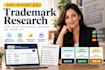 conduct a preliminary US trademark search