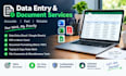 data entry and data cleaning