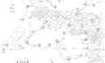 do your fantasy map rpg, dnd or dungeon battle map