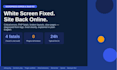 fix wordpress errors, critical error, and bugs fast