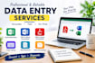 do accurate data entry, PDF to word and excel conversion