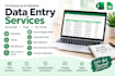 do accurate data entry, excel, web research and copy paste