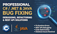 fix bugs and resolve errors in csharp dotnet and java applications