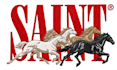 do embroidery digitizing, digitize image for embroidery pes dst emb file