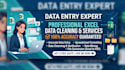 clean, format and organize your excel data professionally
