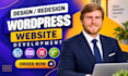 fix migrate clone rebuild copy clone redesign wordpress website