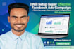 setup super effective facebook ads campaign and fb page promotion