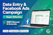 setup super effective facebook ads campaign and fb page promotion