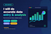 do professional data entry and excel data management