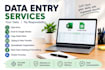 do accurate data entry in excel or excel sheets