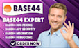 base44 expert base44 debugging base44 bug fixing vibe coding base44 migration