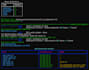 perform web application penetration testing