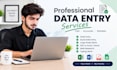 create professional excel spreadsheets and data entry