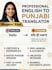 do english to punjabi translation professionally