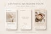 design aesthetic instagram posts and stories
