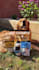 create engaging pet ugc videos for products services and apps