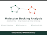 perform molecular docking analysis using autodock vina for drug discovery