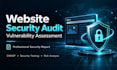 perform a website security audit