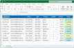 create professional excel spreadsheets and projects