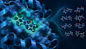 perform molecular docking and virtual screening studies