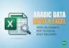do professional arabic data entry and excel data management