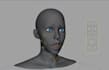3d model rigging, vtuber rig, weight paint, facial rigging, skinning, blendshape