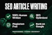 write SEO optimized viral blog post