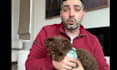 create relatable pet ugc videos for tiktok and meta