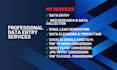 do data entry, PDF conversion and email lead generation