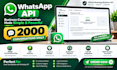 provide whatsapp business API with 2000 daily conversations