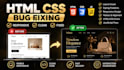 fix HTML CSS bugs and responsive issues