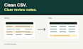 clean your CSV and deliver excel with duplicates and review notes