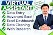 do advanced excel data entry and analytics